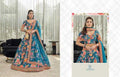 BellePoshak | Velvet Net Fancy Lehenga,                                                                              ...